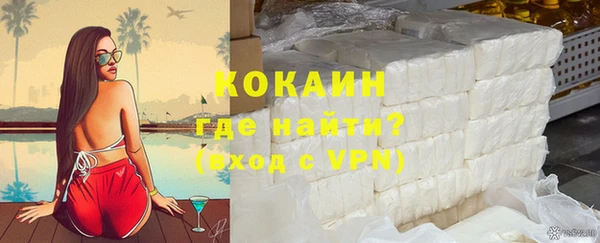 гидра Вяземский