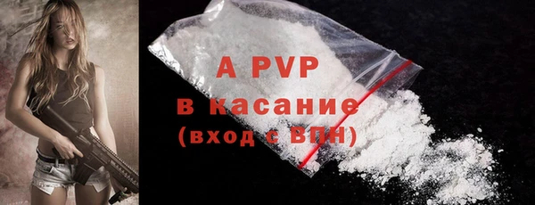 гидра Вяземский