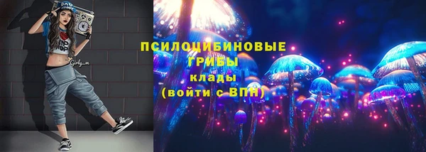 гидра Вяземский