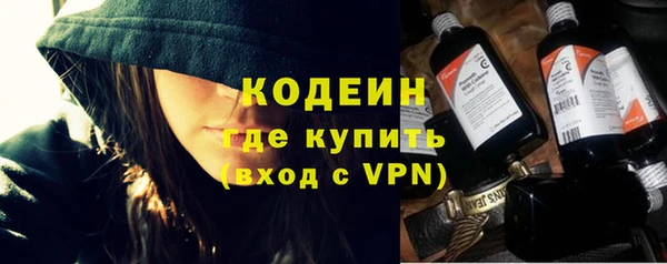 гидра Вяземский