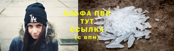 гидра Вяземский