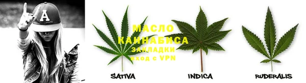гидра Вяземский