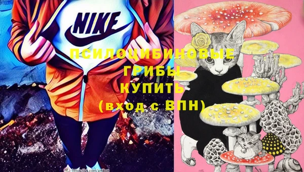 spice Вязники