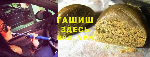 гидра Вяземский