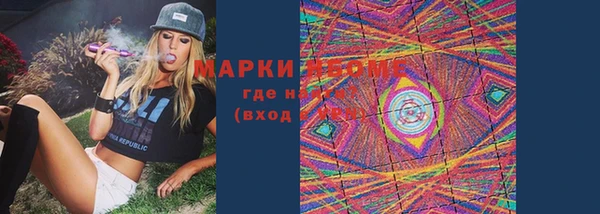гидра Вяземский