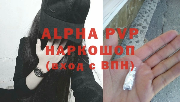 гидра Вяземский