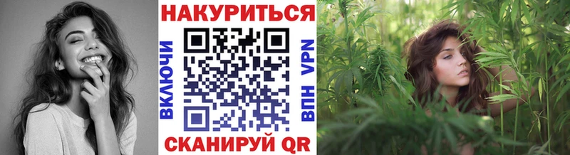 Марихуана сатива Элиста